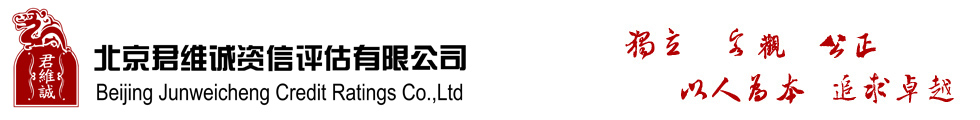 武漢金華盛維新科技有限公司
